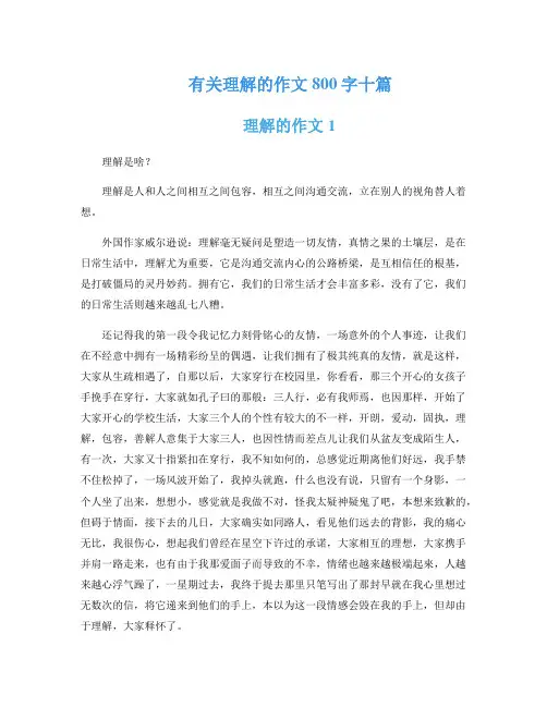 有关理解的作文800字十篇