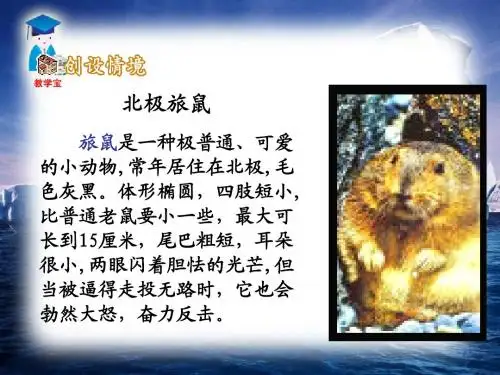 13《旅鼠之谜》