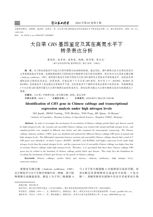 大白菜CHS_基因鉴定及其在高氮水平下转录表达分析雷娟