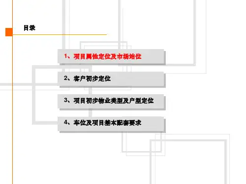 房地产项目定位报告