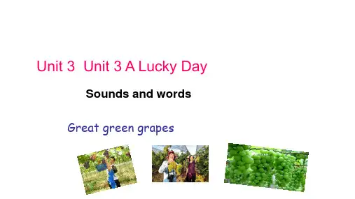 粤人版英语六年级下册 Unit 3 A lucky Day(课件)