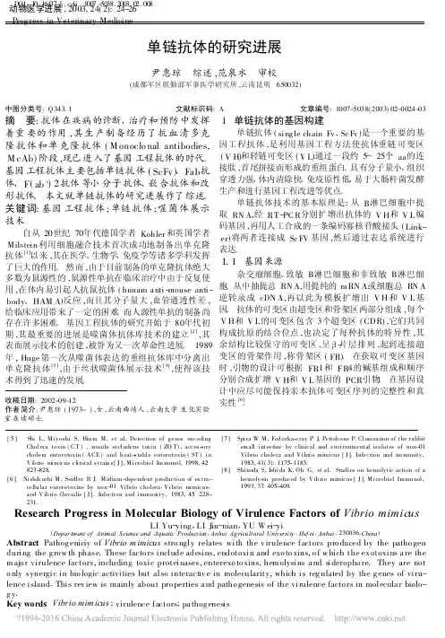 单链抗体的研究进展_尹惠琼