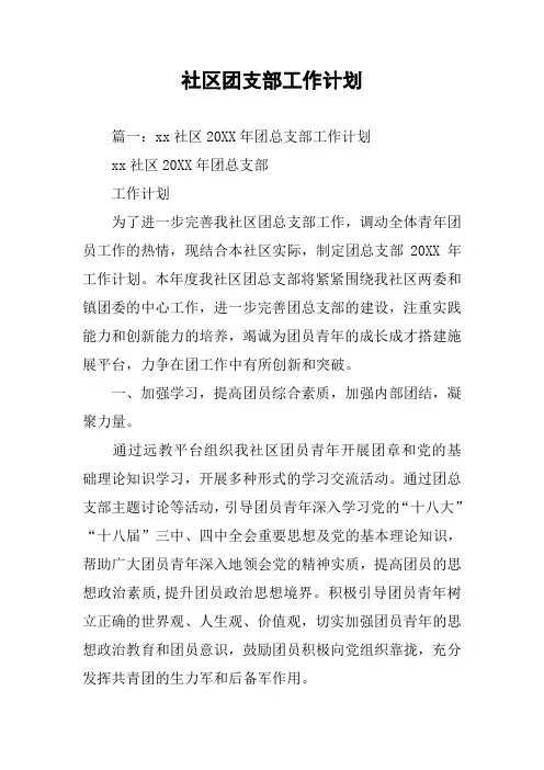 社区团支部工作计划