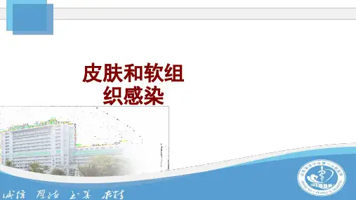 皮肤和软组织感染