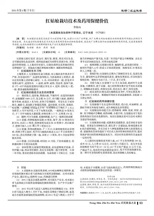 红姑娘栽培技术及药用保健价值