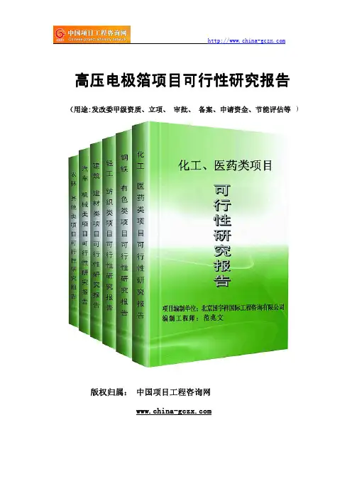 高压电极箔项目可行性研究报告(专业经典案例)