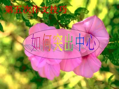 写作训练   如何突出中心