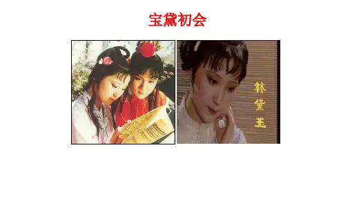 高中语文第三册《第三单元熟悉的陌生人11宝黛初会》45PPT课件
