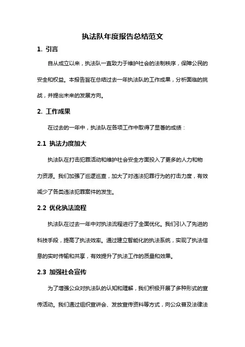 执法队年度报告总结范文