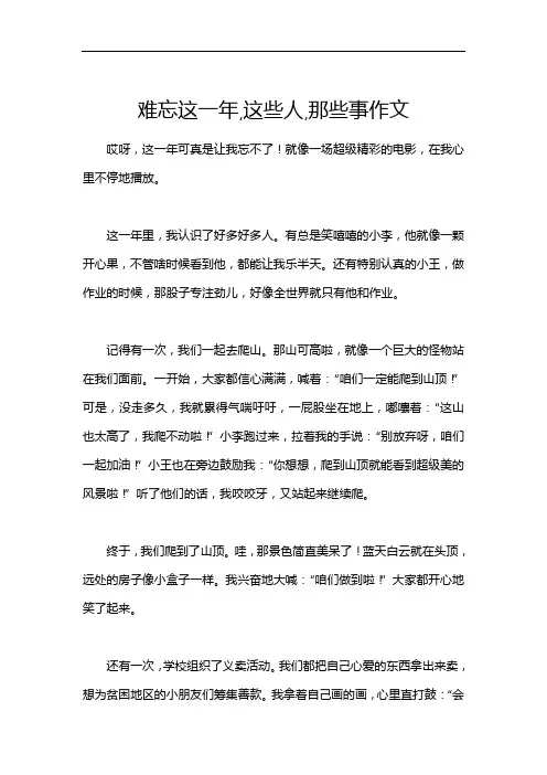 难忘这一年,这些人,那些事作文