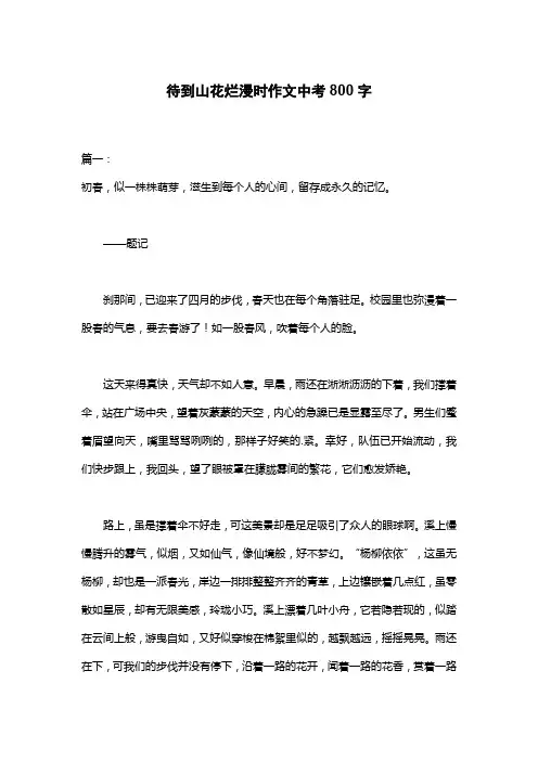 待到山花烂漫时作文中考800字