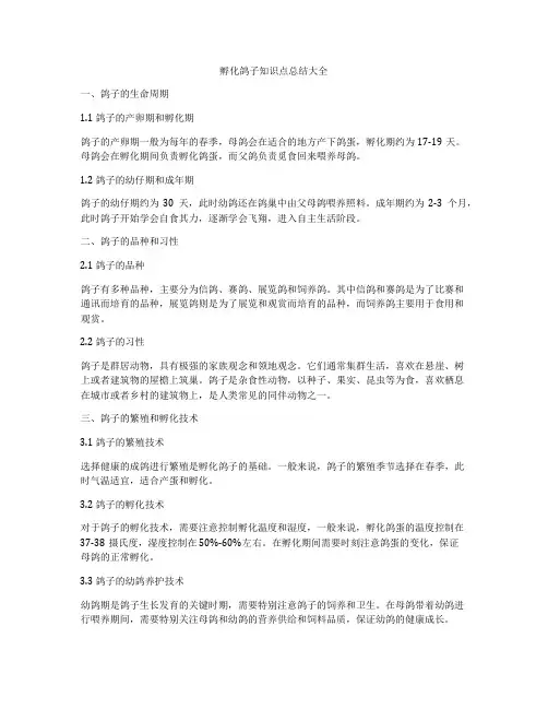 孵化鸽子知识点总结大全