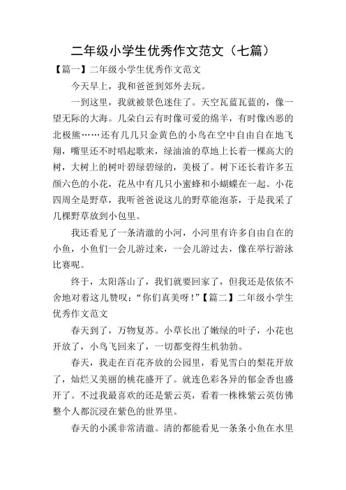 二年级小学生优秀作文范文(七篇)