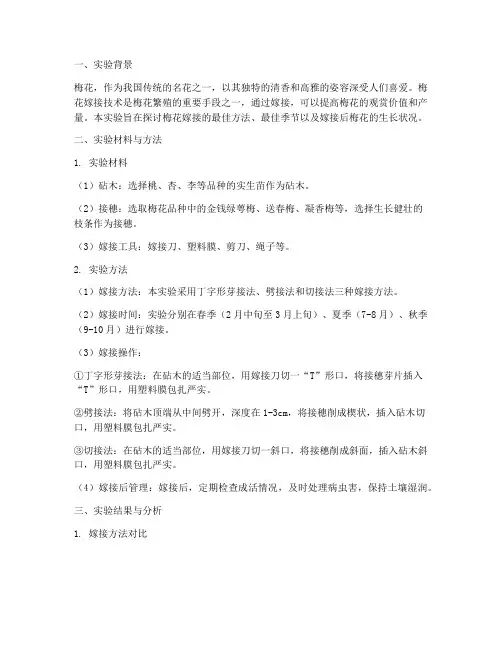 梅花嫁接实验报告