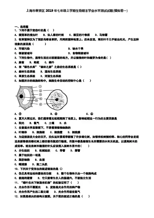 上海市奉贤区2019年七年级上学期生物期末学业水平测试试题(模拟卷一)