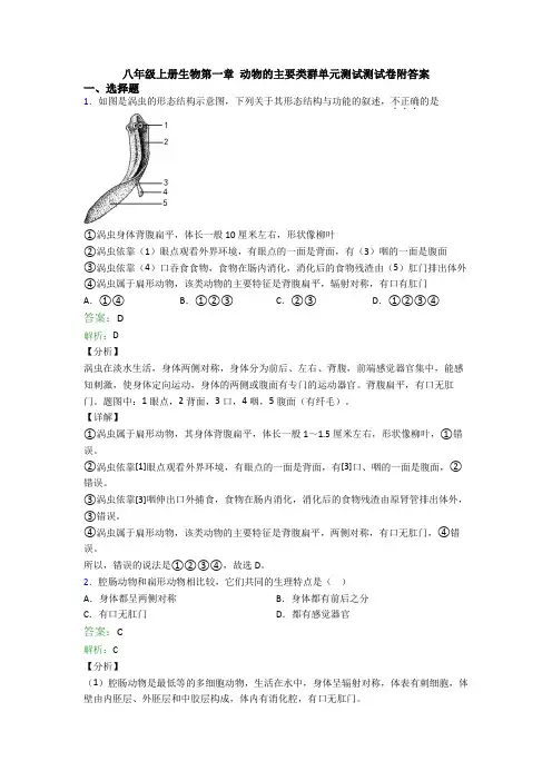 八年级上册生物第一章 动物的主要类群单元测试测试卷附答案