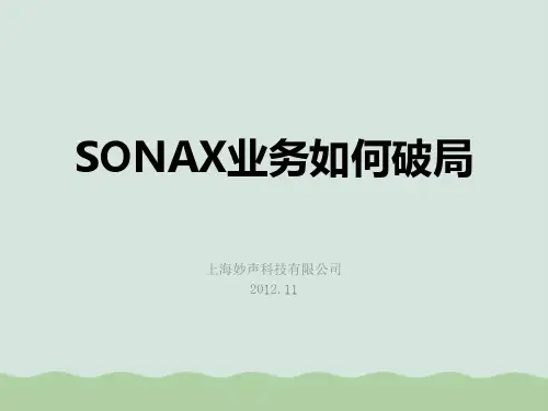 SONAX业务如何破局培训讲义(ppt 85页)