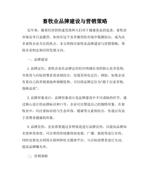 畜牧业品牌建设与营销策略