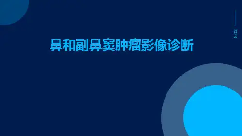 鼻和副鼻窦肿瘤影像诊断