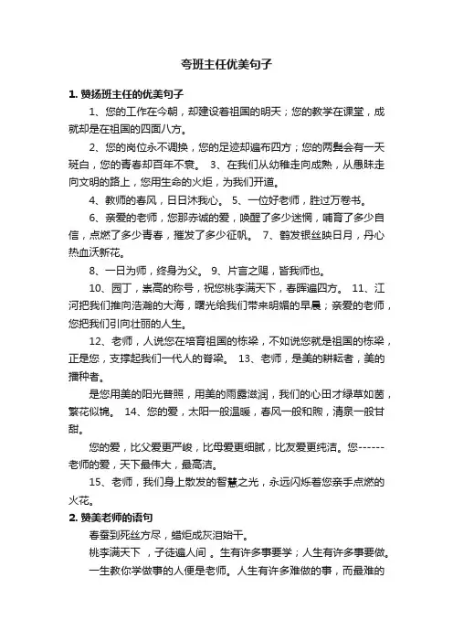 夸班主任优美句子