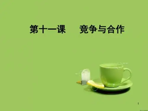 鲁教版思品八下《现代科技在身边》ppt课件