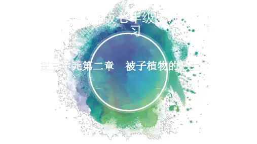 3.2被子植物的一生复习课件人教版生物七年级上册【05】