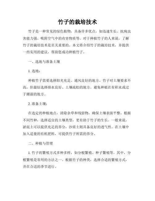竹子的栽培技术