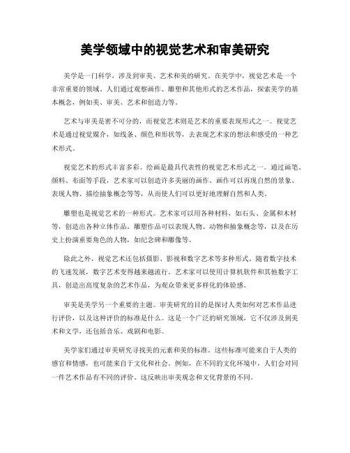 美学领域中的视觉艺术和审美研究