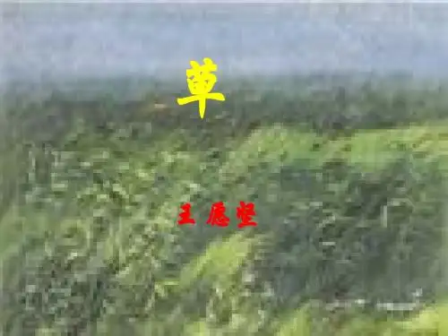 《草》课件(新)