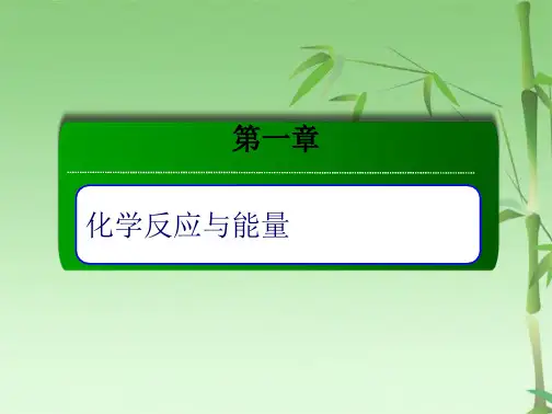 -燃烧热   能源  PPT张(共63张PPT)