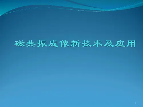 磁共振新技术幻灯片课件