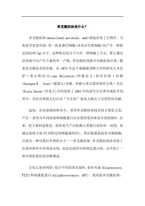 单克隆抗体是什么