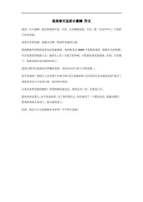 我是春天里小蜜蜂作文