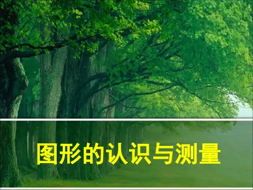六年级下册数学课件总复习图形的认识与测量_人教新课标(秋) (共23张PPT)