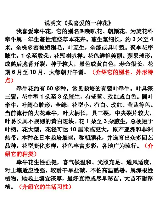 说明文《牵牛花》(参考例文)