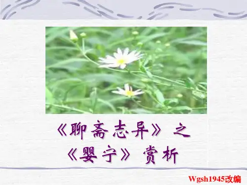 【高中语文】婴宁ppt精品课件