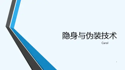 隐身与伪装技术PPT课件