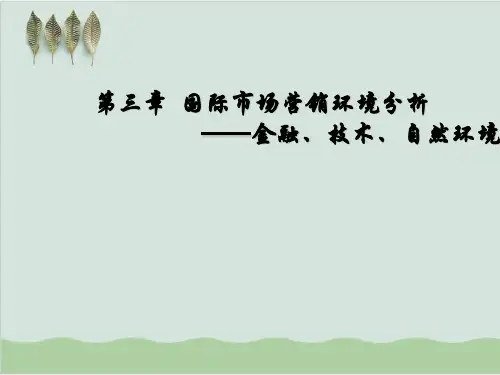 国际市场营销环境分析—金融、技术、自然环境PPT课件( 61页)