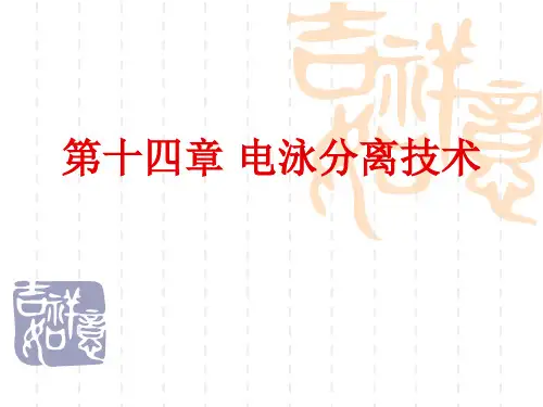 电泳分离技术