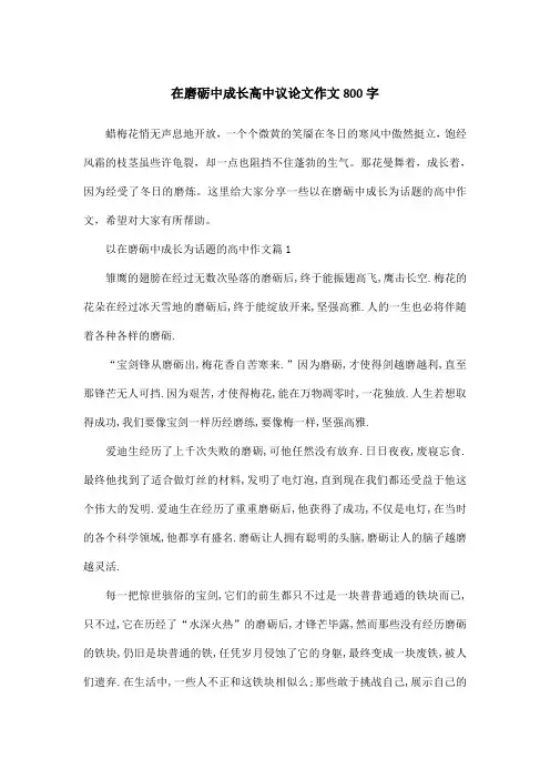 在磨砺中成长高中议论文作文800字