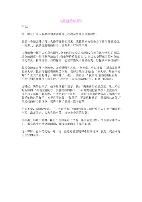 《美丽的田野》