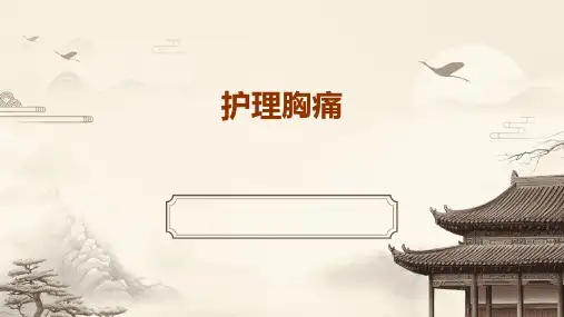 护理胸痛ppt