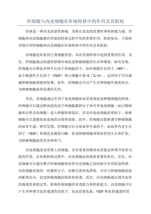 肝细胞与内皮细胞在肝癌转移中的作用及其机制