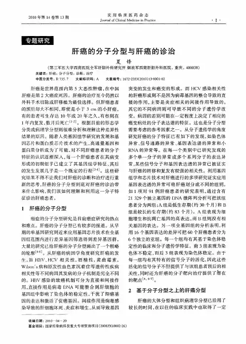 肝癌的分子分型与肝癌的诊治