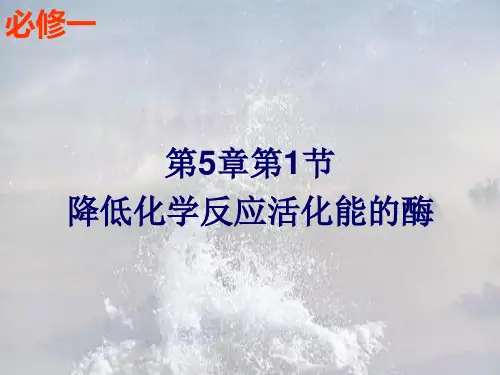 降低反应活化能的酶PPT教学课件