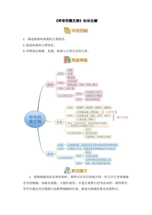 苏教版八年级生物上册《神奇的微生物》知识全解