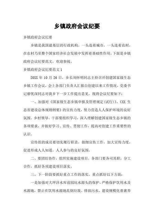 乡镇政府会议纪要