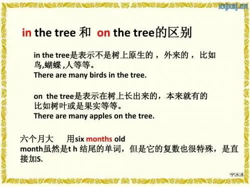 六年级英语上册句型转换同音词句型转换复习