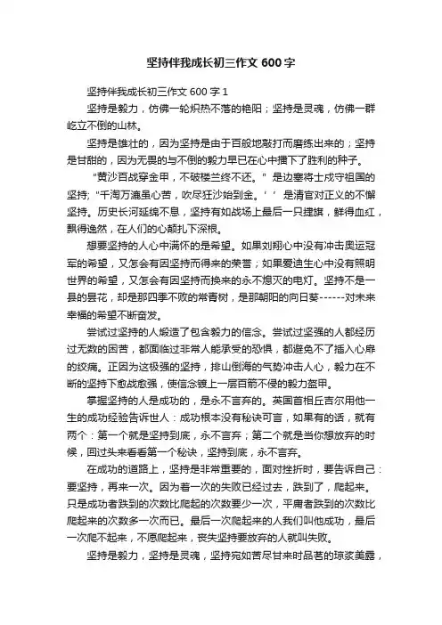 坚持伴我成长初三作文600字