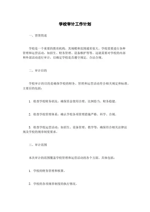 学校审计工作计划